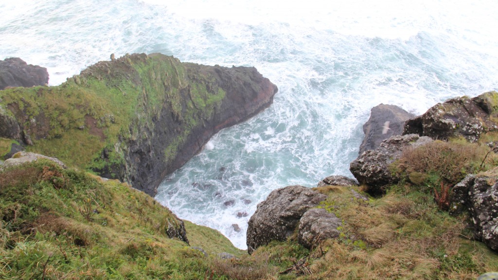 Oregon Coast