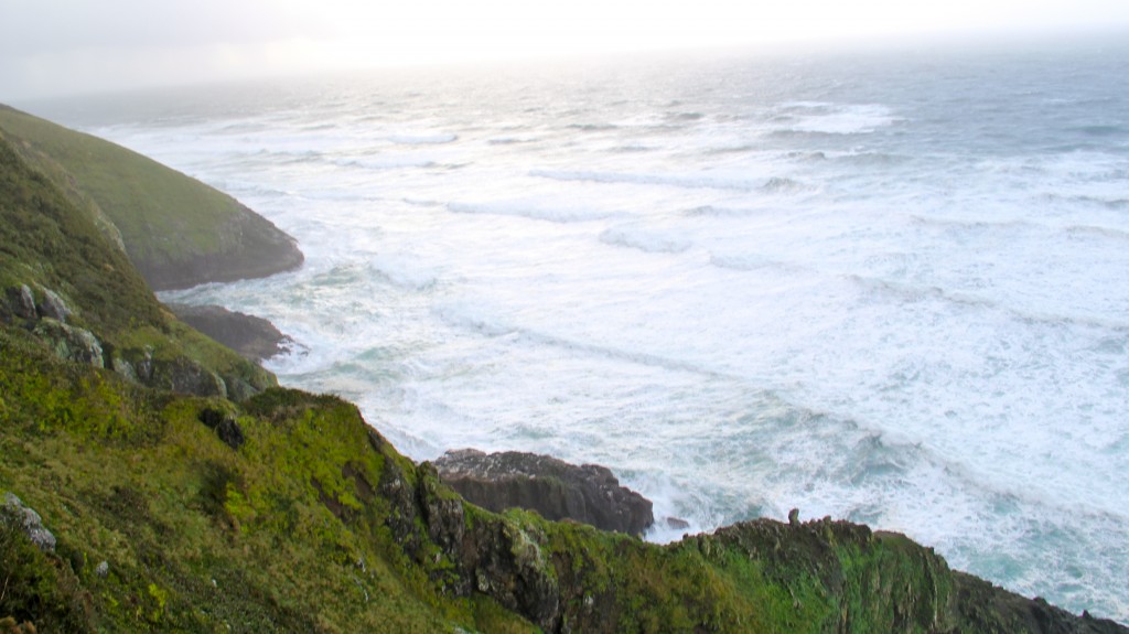 Oregon Coast