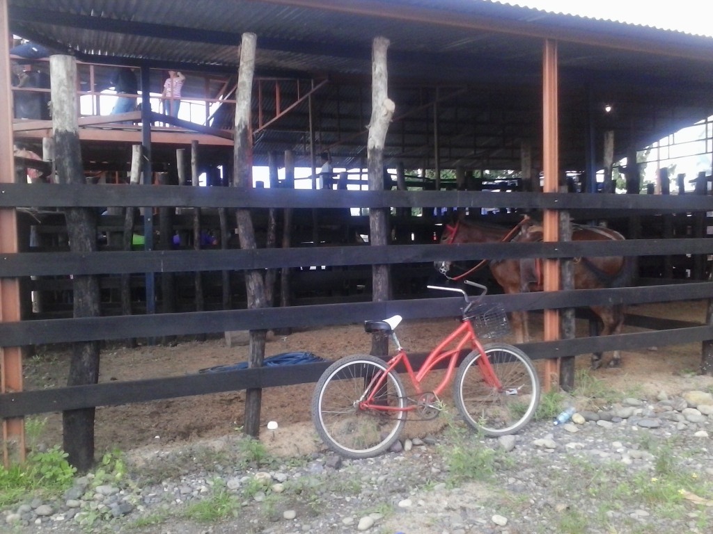 Costa Rica Rodeo