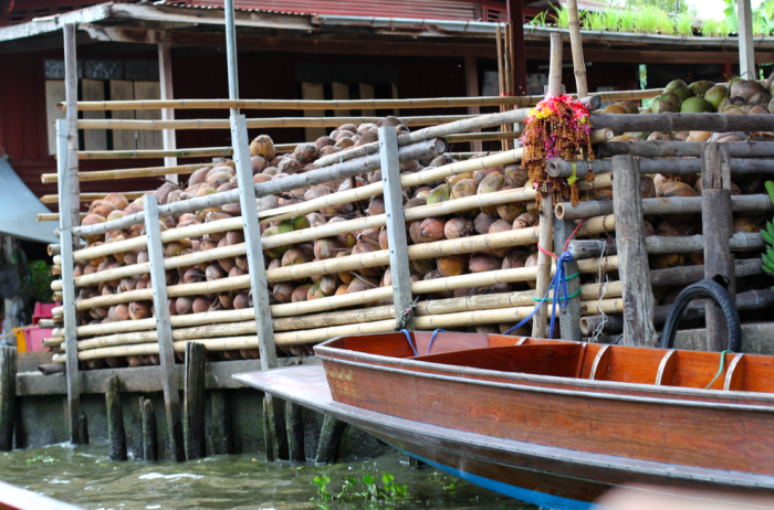 Floating Village 