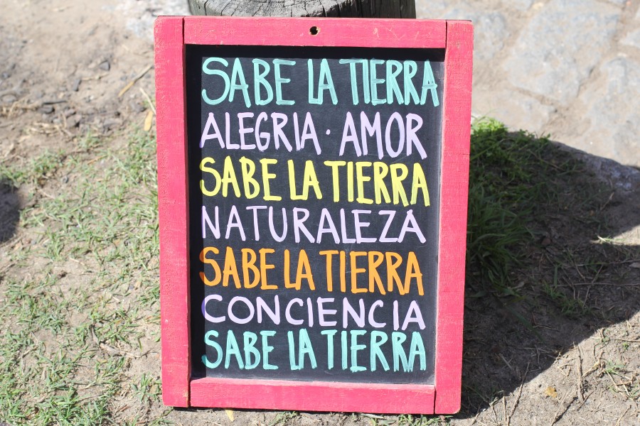 sabe_la_tierra