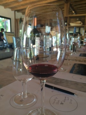 wine tasting in Mendoza Argentina 