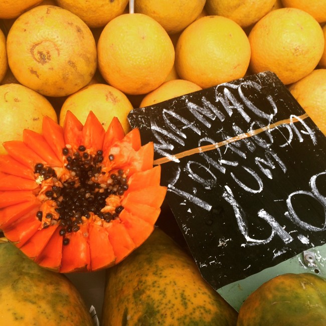 tropical fruits of brazil