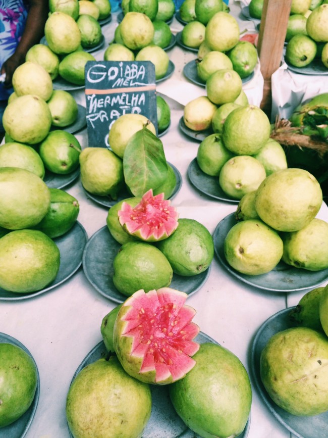 tropical fruits of brazil