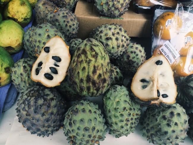 tropical fruits of brazil