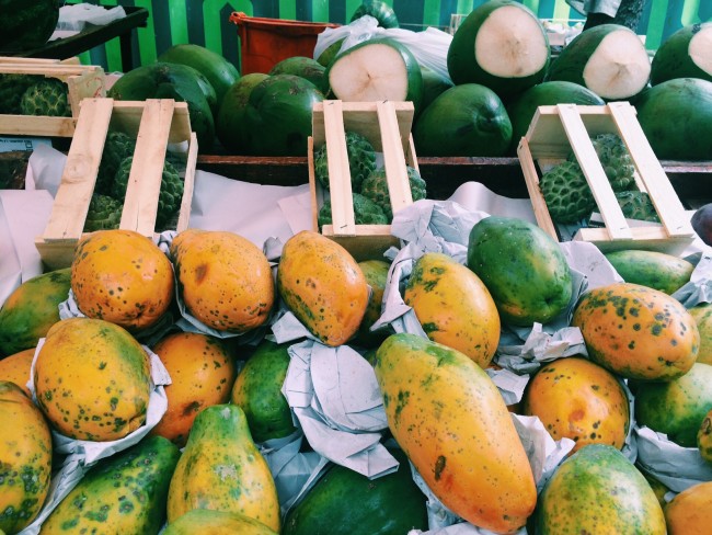 tropical fruits of brazil