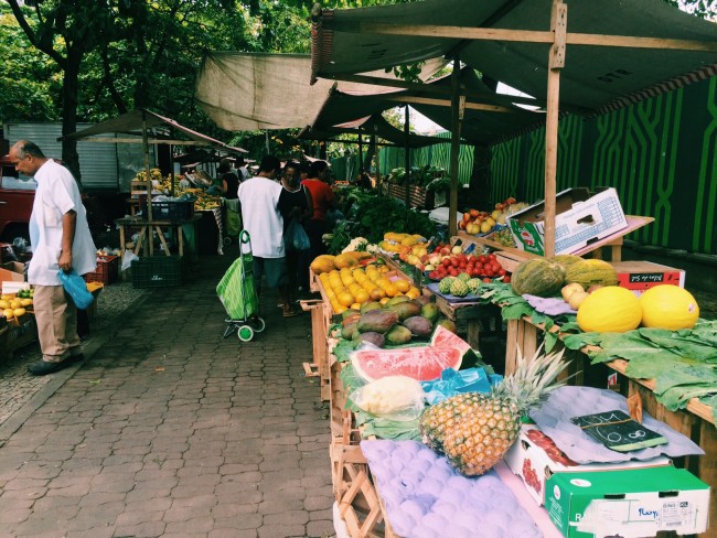 tropical fruits of brazil