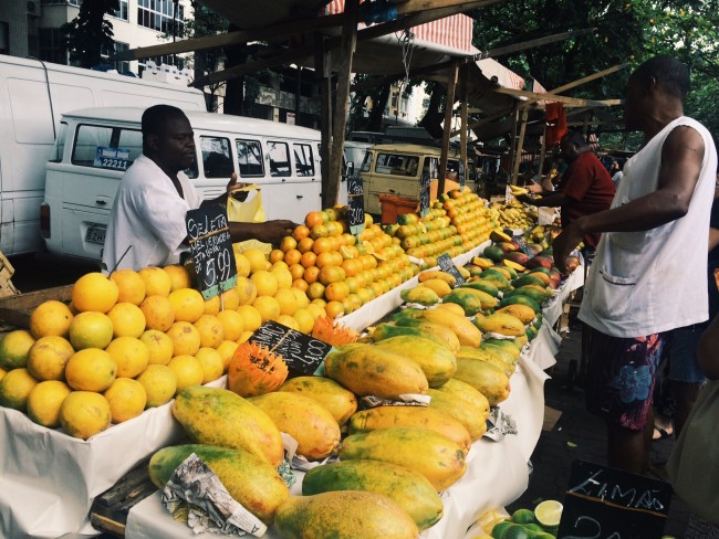 tropical fruits of brazil