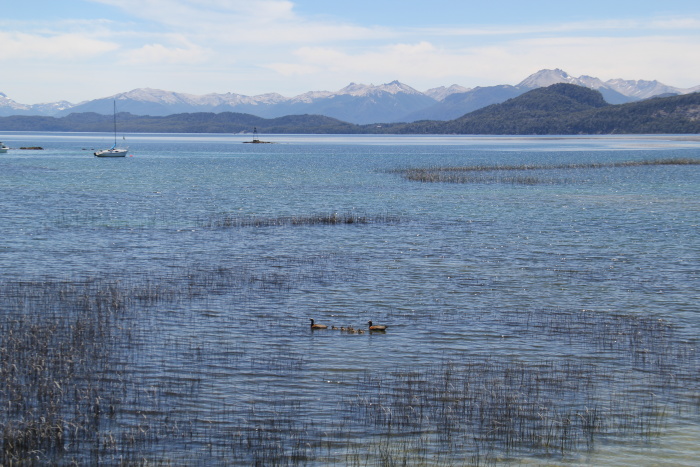 Lago Moreno