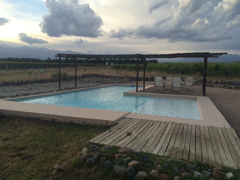 swimming pool bodega vineyard