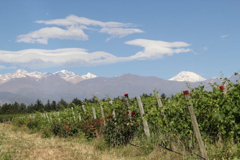 mendoza-wine-hotel-tupungato-divino