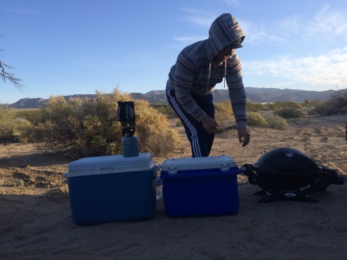 camping in joshua tree